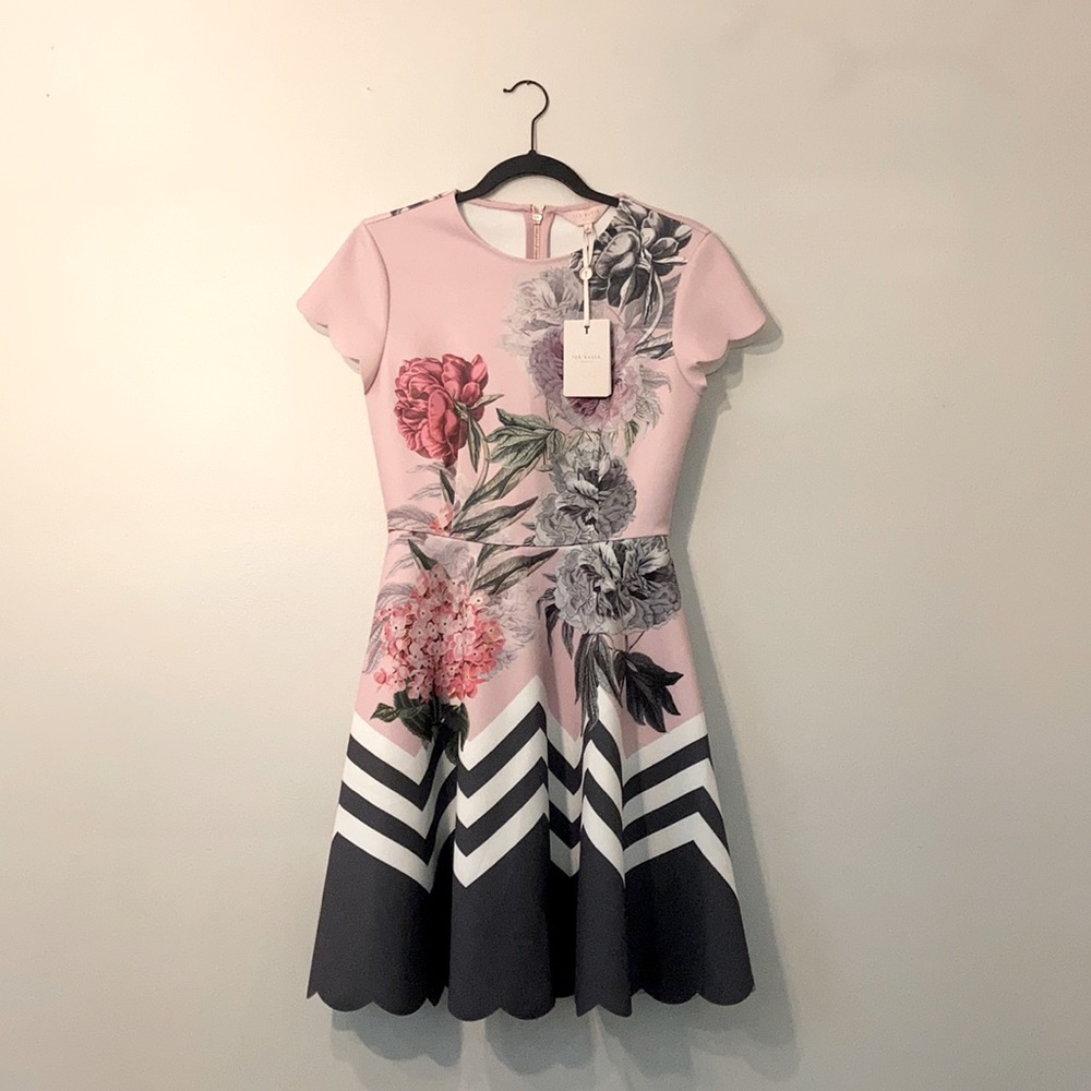 Ted Baker London Pink Hailie Palace Gardens Dress
